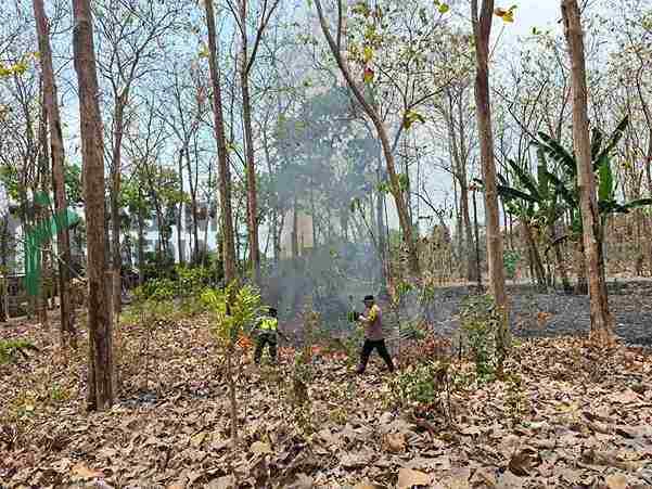 Anggota Polsek Ludoyo Timur Memadamkan Api yang Membakar Hutan Jati di Lingkungan Jegu