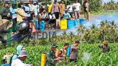 Bhabinkamtibmas Desa Margomulyo Kecamatan Binangun Kabupaten Blitar Mengunjungi Petani Jagung