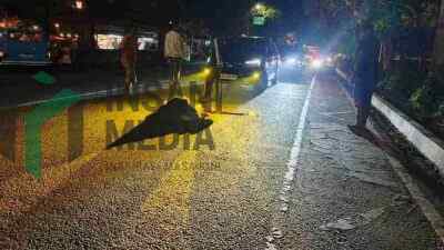 Kakek 71 Tahun Tewas Usai Ditabrak Pikap di Kota Blitar