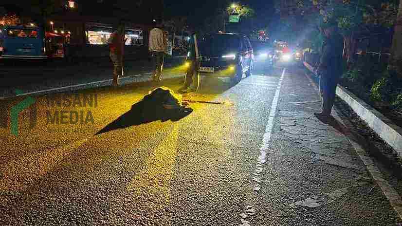 Kakek 71 Tahun Tewas Usai Ditabrak Pikap di Kota Blitar