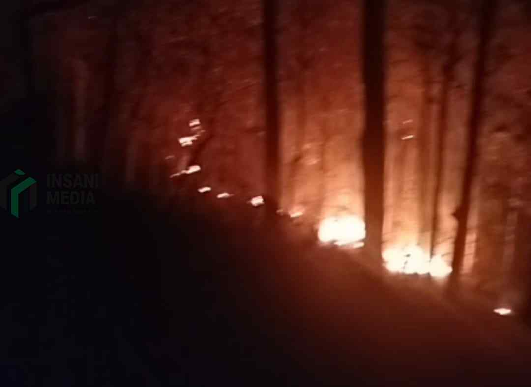 Lagi, Kebakaran Lahan 1 Hektare Lahan Perhutani di Buayan, Kebumen Kebakaran Lahan di Kebunen