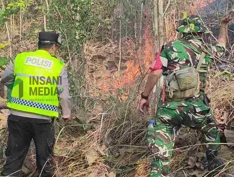 Kebakaran Hutan di Kecamatan Buayan Kebumen Meluas Hingga 2 Hektare Polisi dan TNI Berjibaku Memadamkan Api yang Membakar Hutan Jati di Kecamatan Buayan Kebumen