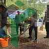 Penghijauan, Polres Kebumen Tanam 500 Bibit Pohon Buah, Gerakan Green Policing